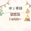 中学3年生英語文法仮定法の使い方作り方テスト対策問題付きiwish